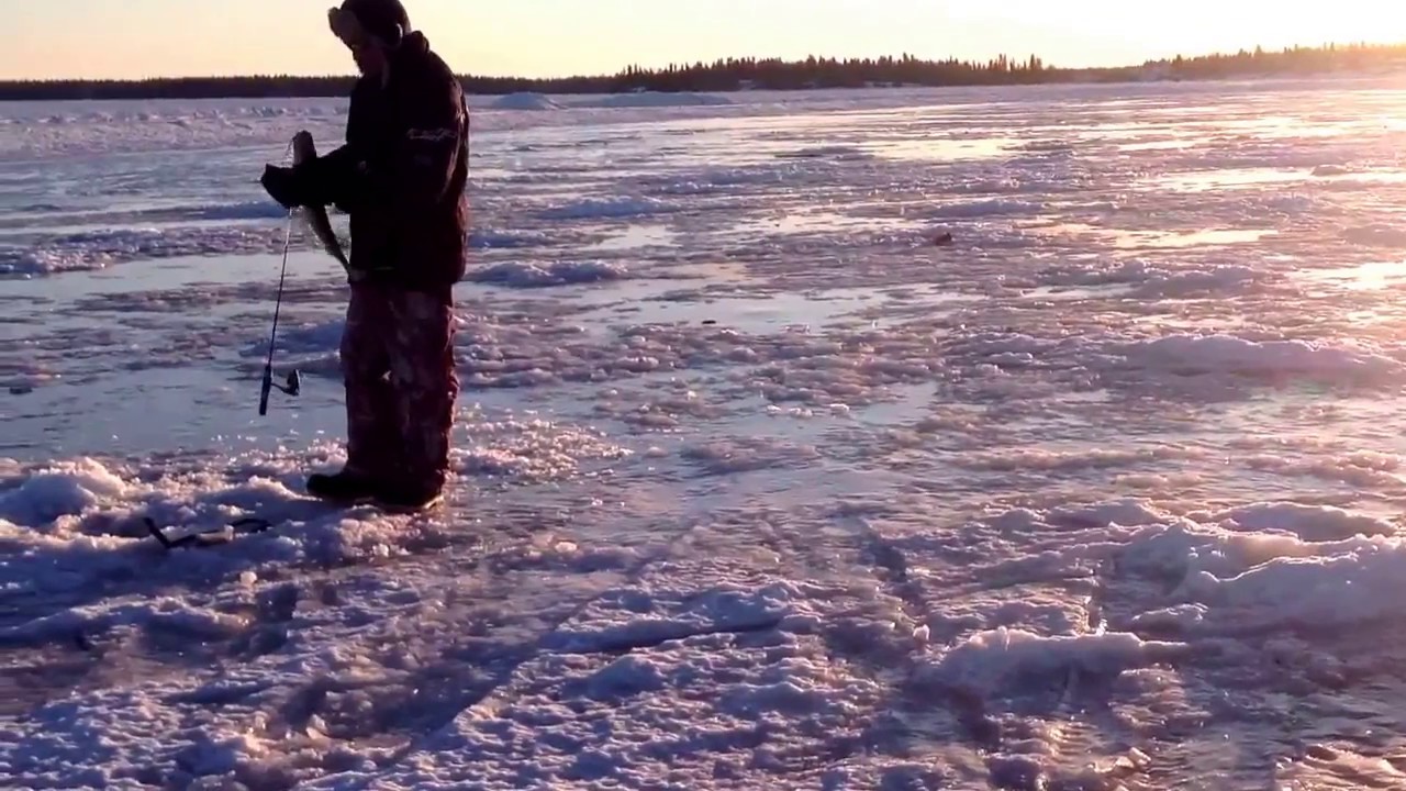 Ice fishing Manitoba Nelson river ice fishing fanatics 5 YouTube