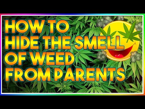 Come nascondere le ODORE DI WEED dai genitori! (SUGGERIMENTI E TRUCCHI)