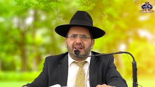 הרב אדיר עמרוצי   ברכות השחר רוקע הארץ על המים