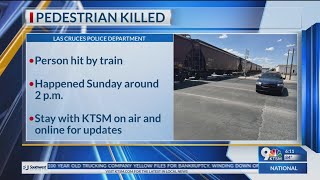 1 person dead in crash involving train, pedestrian