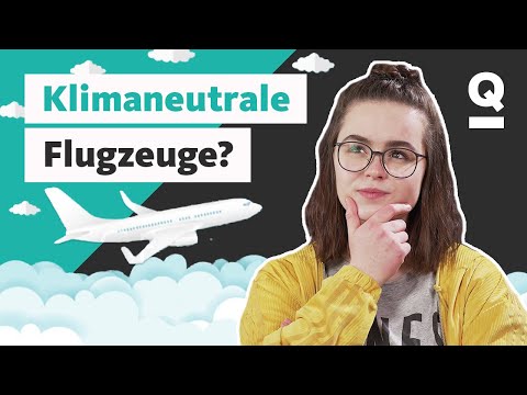 Video: 3 Möglichkeiten, Zecken zu erkennen