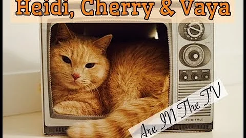 Fun Bedtime Story For Kids | Heidi Cherry & Vaya A...