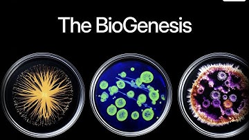 An NFT That Evolves and Earns Rewards? Discover Haust Network’s Innovation‼️😍