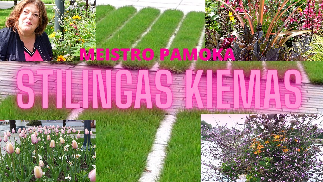 Meistro pamoka/Stilinga visuma: nuo ypatingos pievos iki aukštosios mados gėlyno Molėtuose