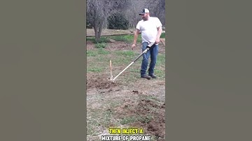 Incredible "Rodinator" Eliminates Rodents Instantly! Discover How It Works#shortsfeed#shortsviral