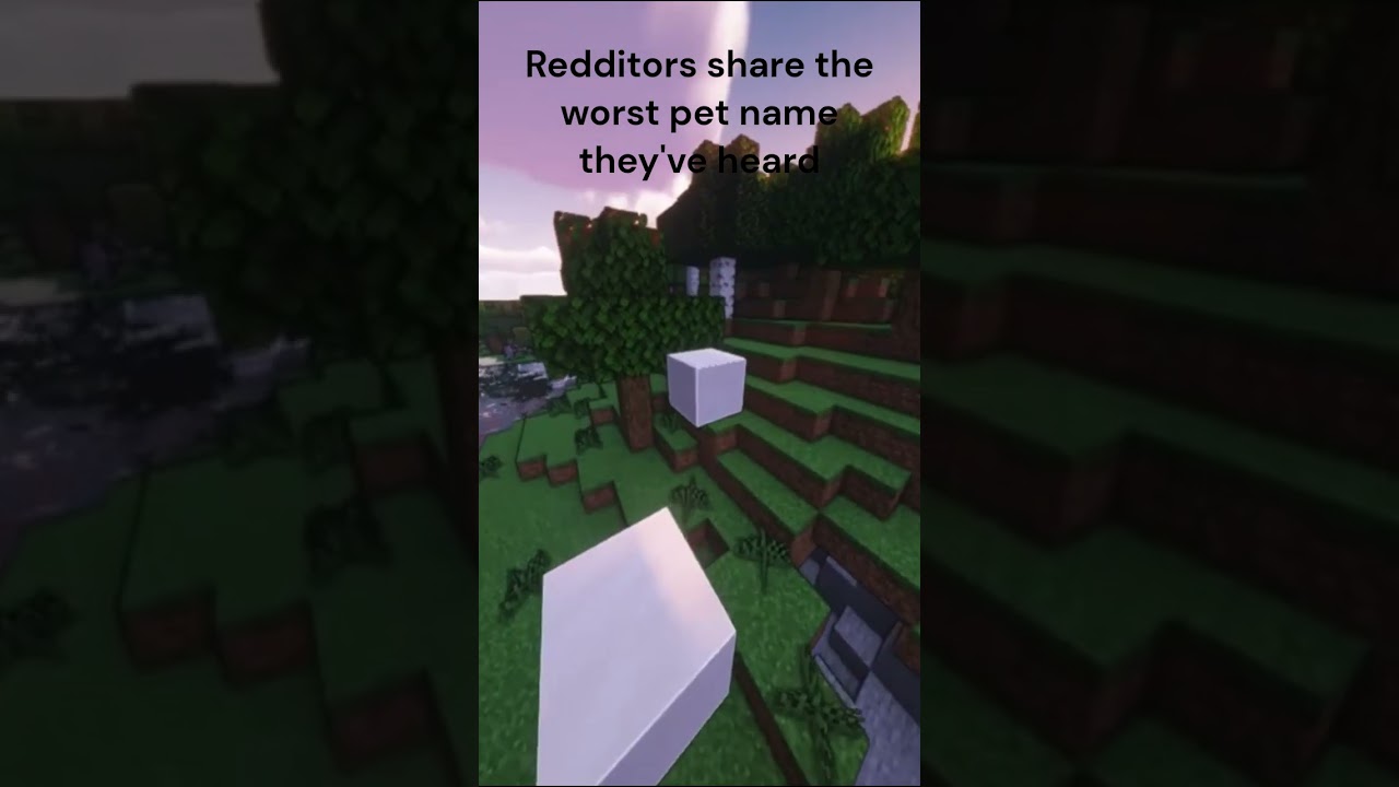 Redditors share the worst pet name they've heard r/askreddit