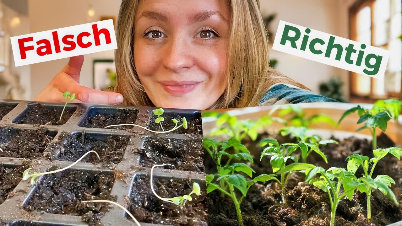 Warum deine Jungpflanzen schwächeln (und wie du sie stark machst!)