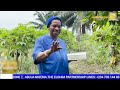 RECEIVE A NEW DAWN IN YOUR CAREER IN JESUS CHRIST NAME.