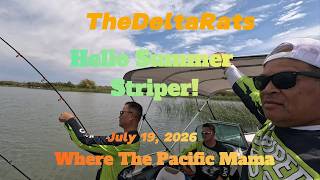 TheDeltaRats "Hello Summer Stripers" Where the Pacific Mama!
