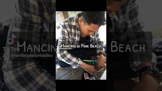 Mancing Di Pantai Pink indonesia travel indonesianisland beach nature  lombokindonesia