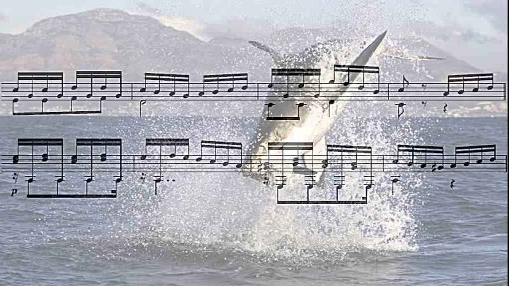 Ferdinando Carulli, op. 241 - Rondò