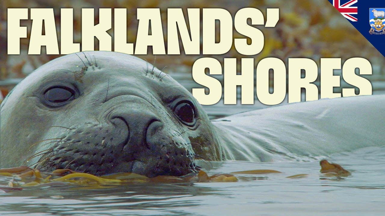 Survival and Beauty | FULL DOCUMENTARY | Destination Wild: Wild Islands | 