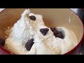 Easy Dairy Free Banana Ice Cream || VEGAN/PALEO || Eat Burn Sleep