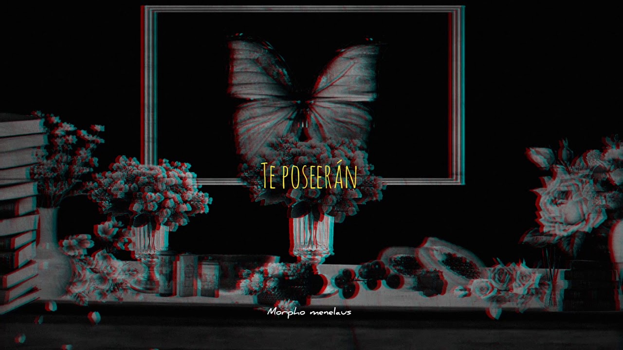 Tessa ia - Morpho menelaus (letra)