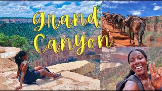 SOLO TRIP VLOG || Day Trip To The Grand Canyon (All you need to know)