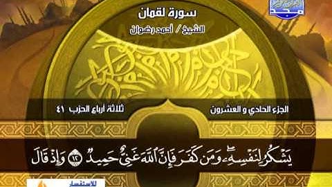سورة لقمان 1 الى 21 ـــ احمد رضوان