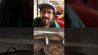 Autoflower 101: Class 2 with @firebudz101 pt3