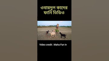 Obaidul Quader Funny video 2023 #shortfeeds #trendingshorts #funny #funny_video #viralvideo #amazing