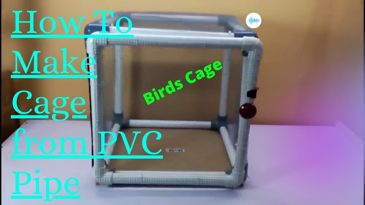 PVC Pipe Cage sunny aviary YouTube