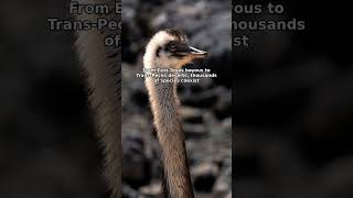 Texas Wildlife ID &amp; Safety · Texas has diverse ecosystems