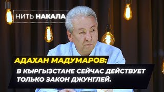 Адахан Мадумаров: В Кыргызстане СЕЙЧАС ДЕЙСТВУЕТ ТОЛЬКО ЗАКОН ДЖУНГЛЕЙ \\ Нить накала