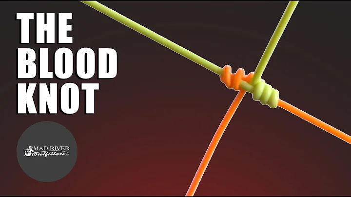 Blood Knot: Tutorial