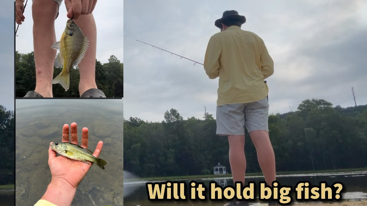 Fishing a Residential Pond for SLAB Panfish (And a Bass)
