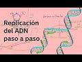 Replicación del ADN avanzada I - Biología - Educatina