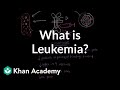 What is leukemia? | Hematologic System Diseases | NCLEX-RN | Khan Academy