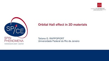 Talks - 2D van der Waals Spin Systems - Tatiana G. RAPPOPORT, UFRJ