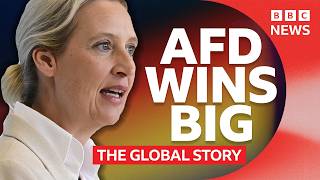 The AfD and reckoning with Germany’s Nazi past | BBC News