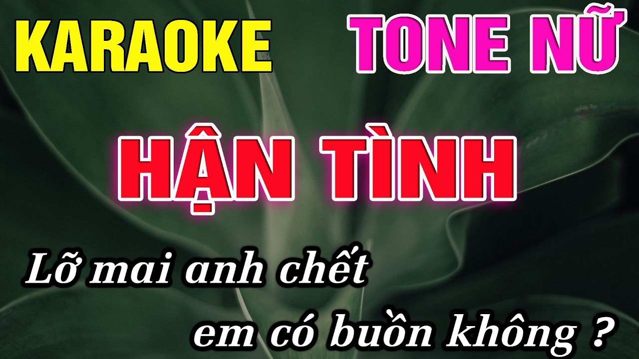 Hận Tình Karaoke Tone Nữ Karaoke Đức Duy - Beat 2026
