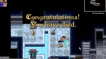 Dungeons of Dredmor - Death Animation Glitch