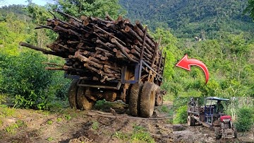 Xe công nông lốp đôi chở củi/công việc của anh em làm cây củi bời lời (tập 2)bin 81 tv