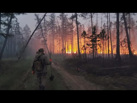 Rusia pierde más de 1.5 millones de hectáreas por los incendios forestales