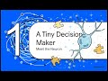 How Machines Actually Learn- Week2 #ai #chatgpt
