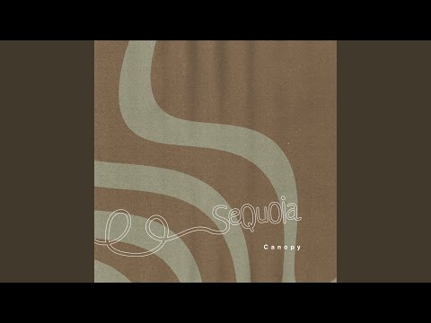 Watch Canopy on YouTube Watch Canopy on YouTube