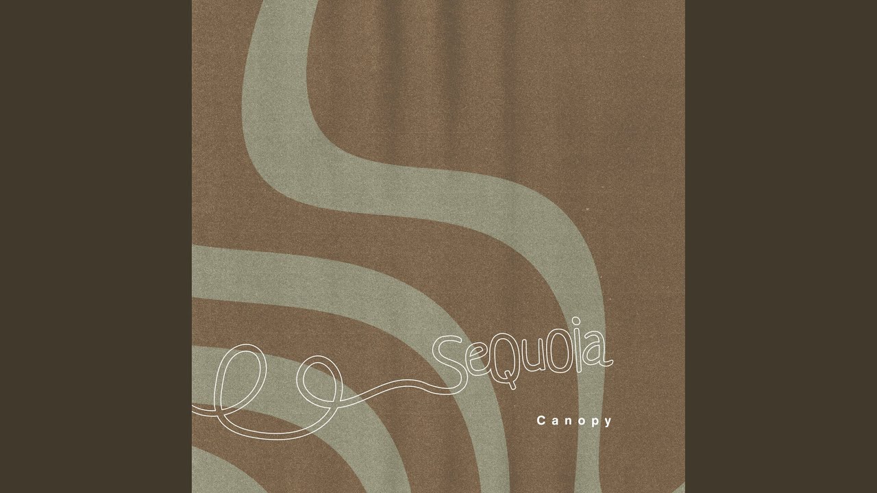 Canopy auf YouTube ansehen Canopy auf YouTube ansehen