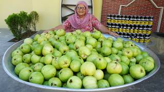 Healthy & Refreshing Guava Juice Summer Special Drink Veg Village Food