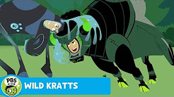 Wild Kratts | New Episodes Starting April 25th | Watch Full Episodes on