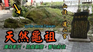 【力克行腳】山佳『龜祖』(道山宮) | turtle stone