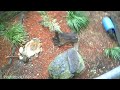 Untitled video 12