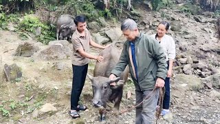 Download Lagu Tu is very happy to welcome the new member. Life is getting better and better. MP3