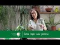 Nô Figueiredo Ensina Como Regar suas Plantas/How to Water your Plants