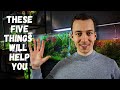 5 things YOU NEED TO KNOW before YOU start a PLANTED TANK