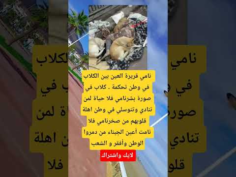 نامي قريرة العين  اكسبلور  معلومات     