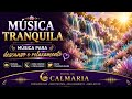 🌼🎹 MÚSICA TRANQUILA I PIANO PARA DIAS CALMOS 🌼