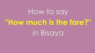 [Basic Coversational Bisaya] How to say How much is the fare?