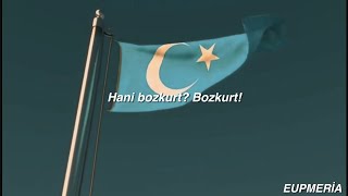 doğu türkistan Resimi