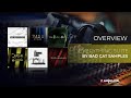 Everything Suite from Bad Cat Samples - Best Kontakt Library for Game and minimal Animation Scoring